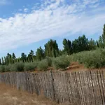 L'oliveraie De Paul