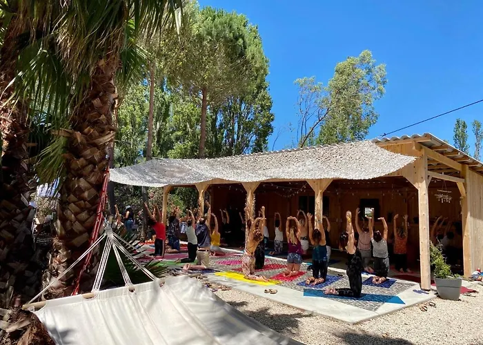 L'oliveraie De Paul Feriehus Aigues-Mortes