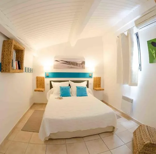 L'oliveraie De Paul Aigues-Mortes